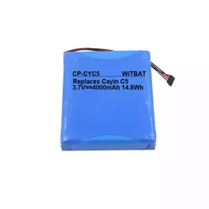 Batería nueva para Cayin C5